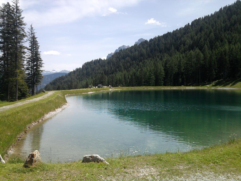Hotel Almhof Neustift im Stubaital Zewnętrze zdjęcie