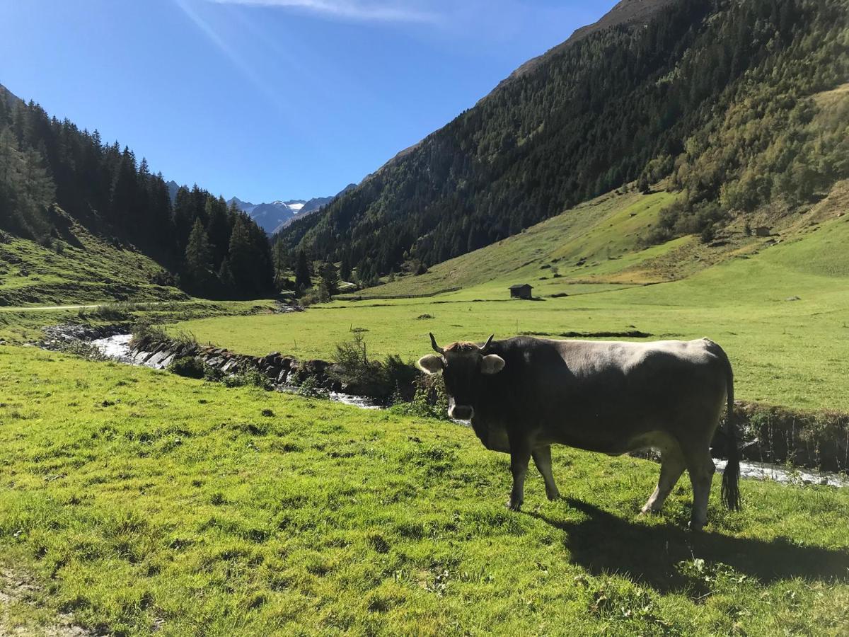 Hotel Almhof Neustift im Stubaital Zewnętrze zdjęcie